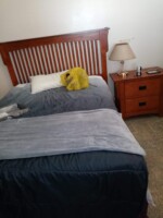 Belleville - 20 Forin