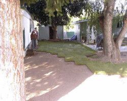 The start of laying the sod