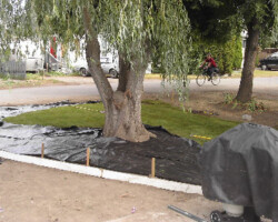 The start of the rock gardens